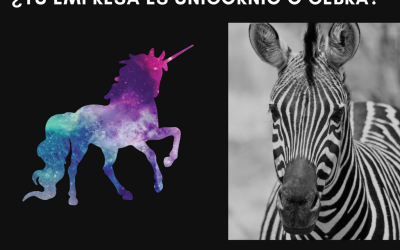 Los Unicornios y Las Cebras: Empresas Fantásticas