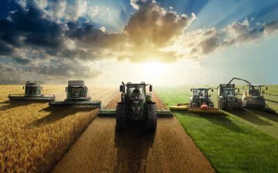 AGROTECH MANAGEMENT IN THE DIGITAL ERA AND ITS RELATIONSHIP WITH THE SUSTAINABILITY GOALS